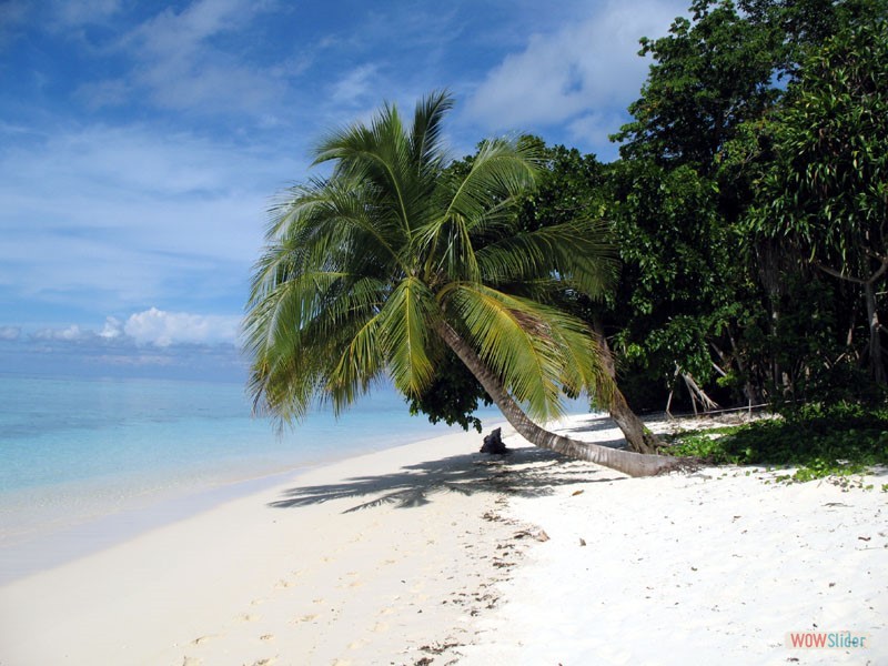 The Beach - Sipadan Island - Malaysia